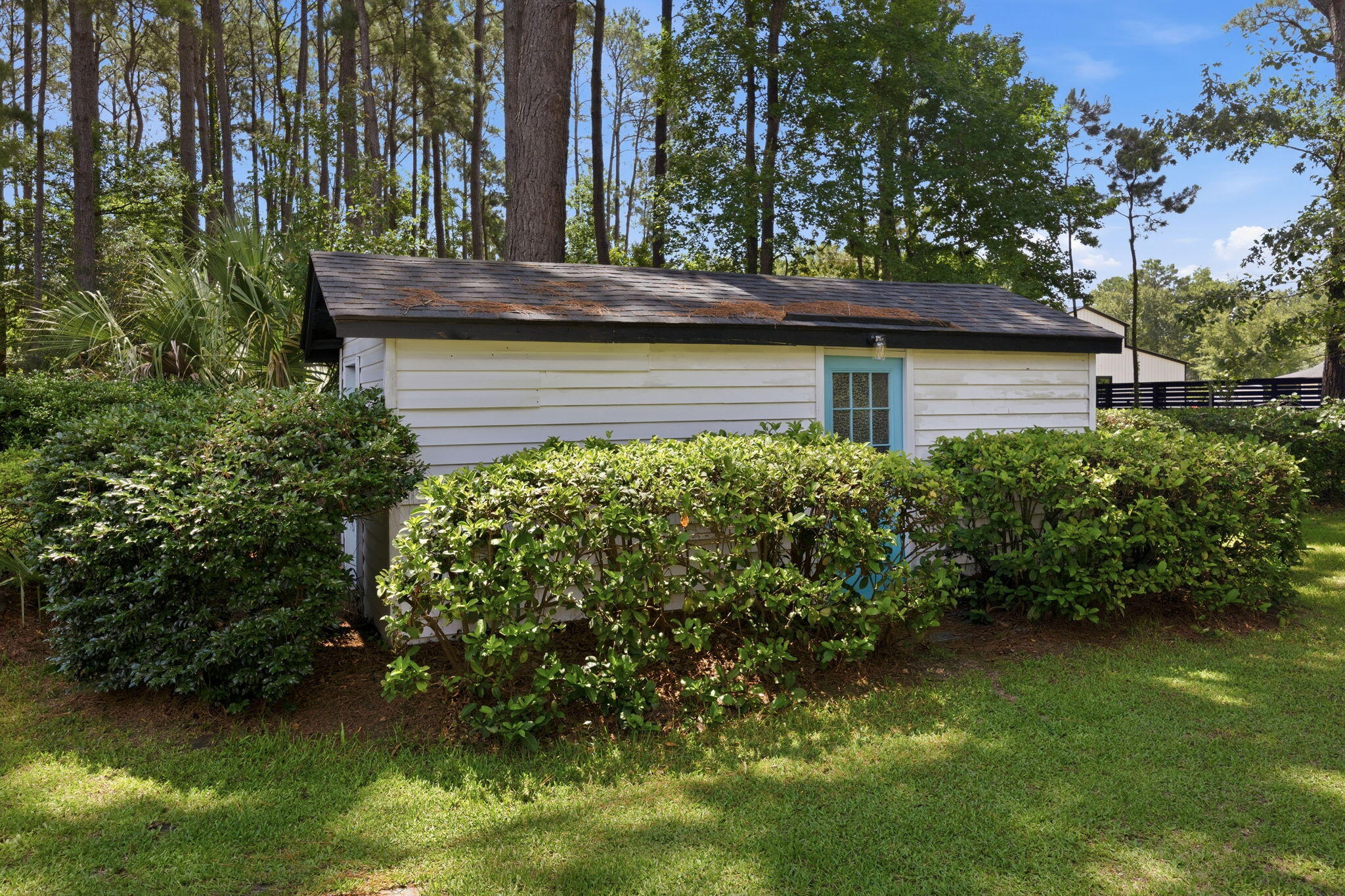 2981 Bennett Charles Road Mount Pleasant, SC 29466 - Photo 41 of 58 45-web-or-mls-470A8448