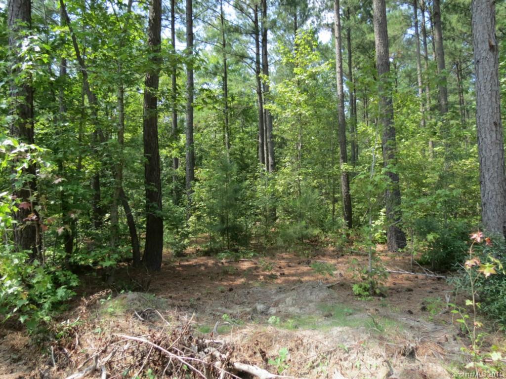 2 Griggs Road Clover, SC 29710 - Photo 12 of 14 Gallery Image 12