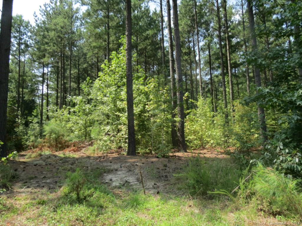 2 Griggs Road Clover, SC 29710 - Photo 13 of 14 Gallery Image 13