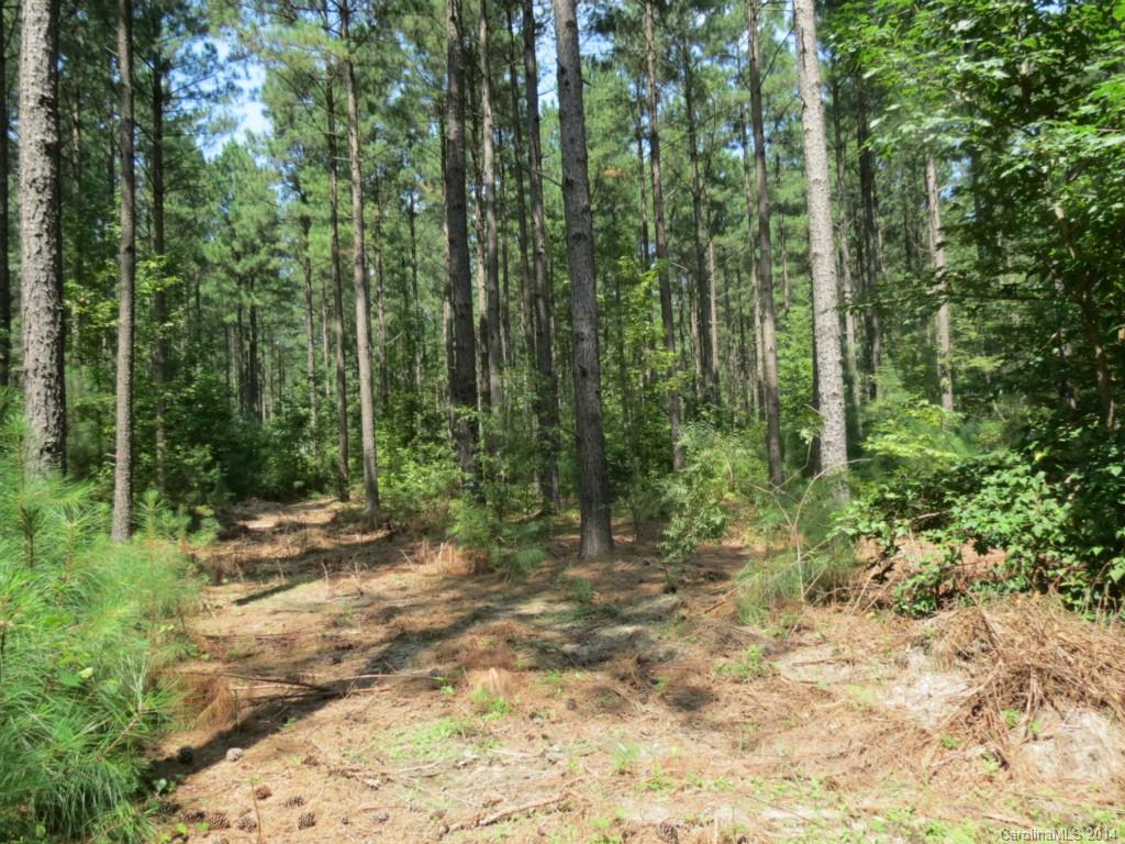 2 Griggs Road Clover, SC 29710 - Photo 14 of 14 Gallery Image 14