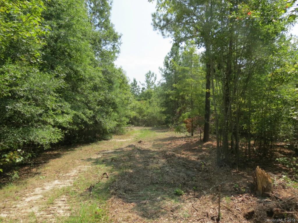 2 Griggs Road Clover, SC 29710 - Photo 8 of 14 Gallery Image 8