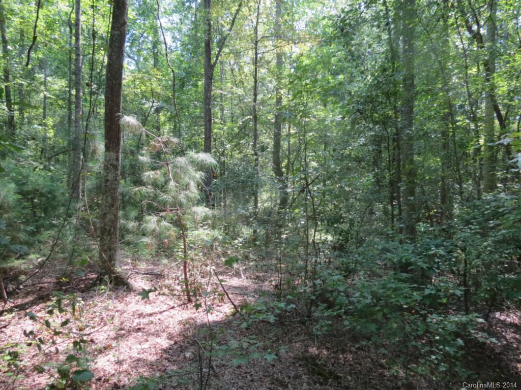 2 Griggs Road Clover, SC 29710 - Photo 10 of 14 Gallery Image 10