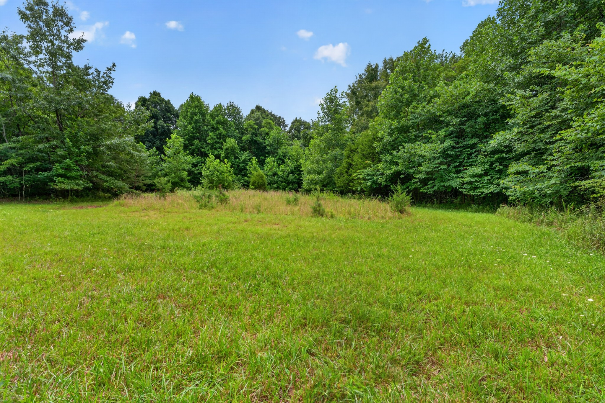 0 Eagle Cliff Road Monteagle, TN 37356 - Photo 15 of 26