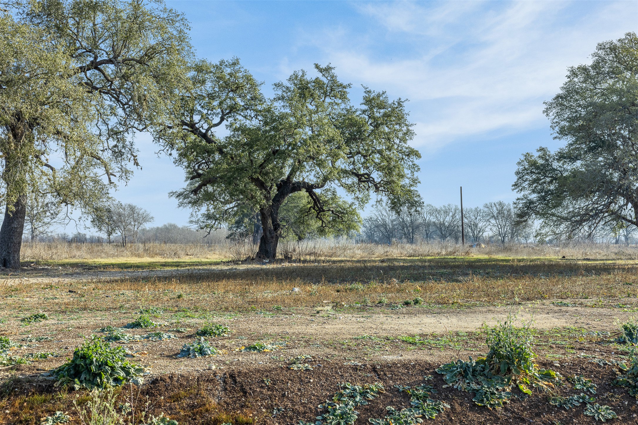 598 Northwest River Road Martindale, TX 78655 - Photo 2 of 11 a view of a lake with an outdoor space