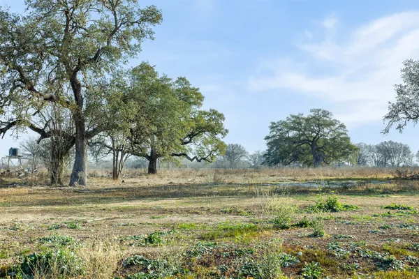a view of dirt field with trees