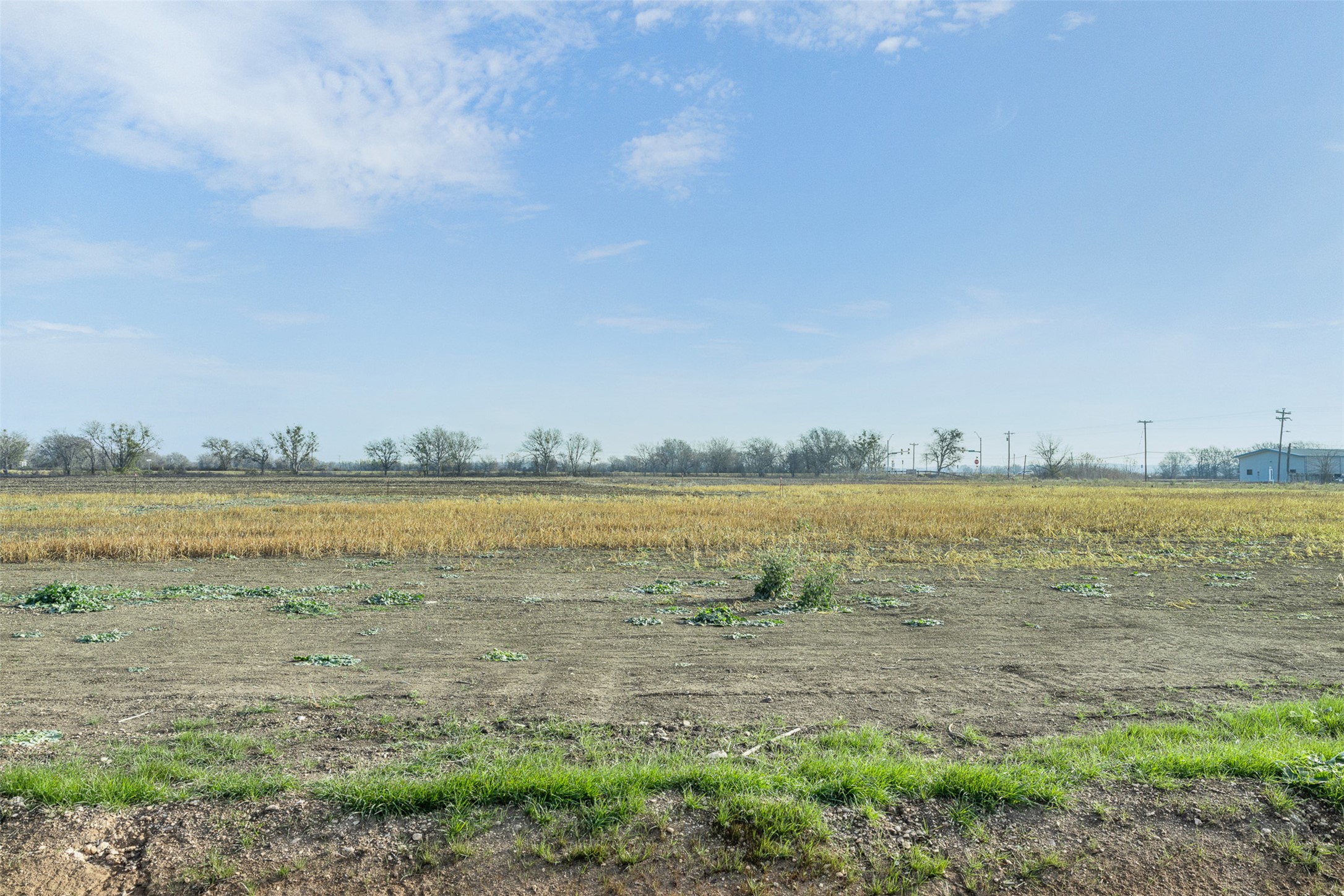 598 Northwest River Road Martindale, TX 78655 - Photo 8 of 11