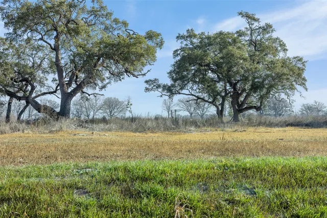 a view of a lake with a mountain