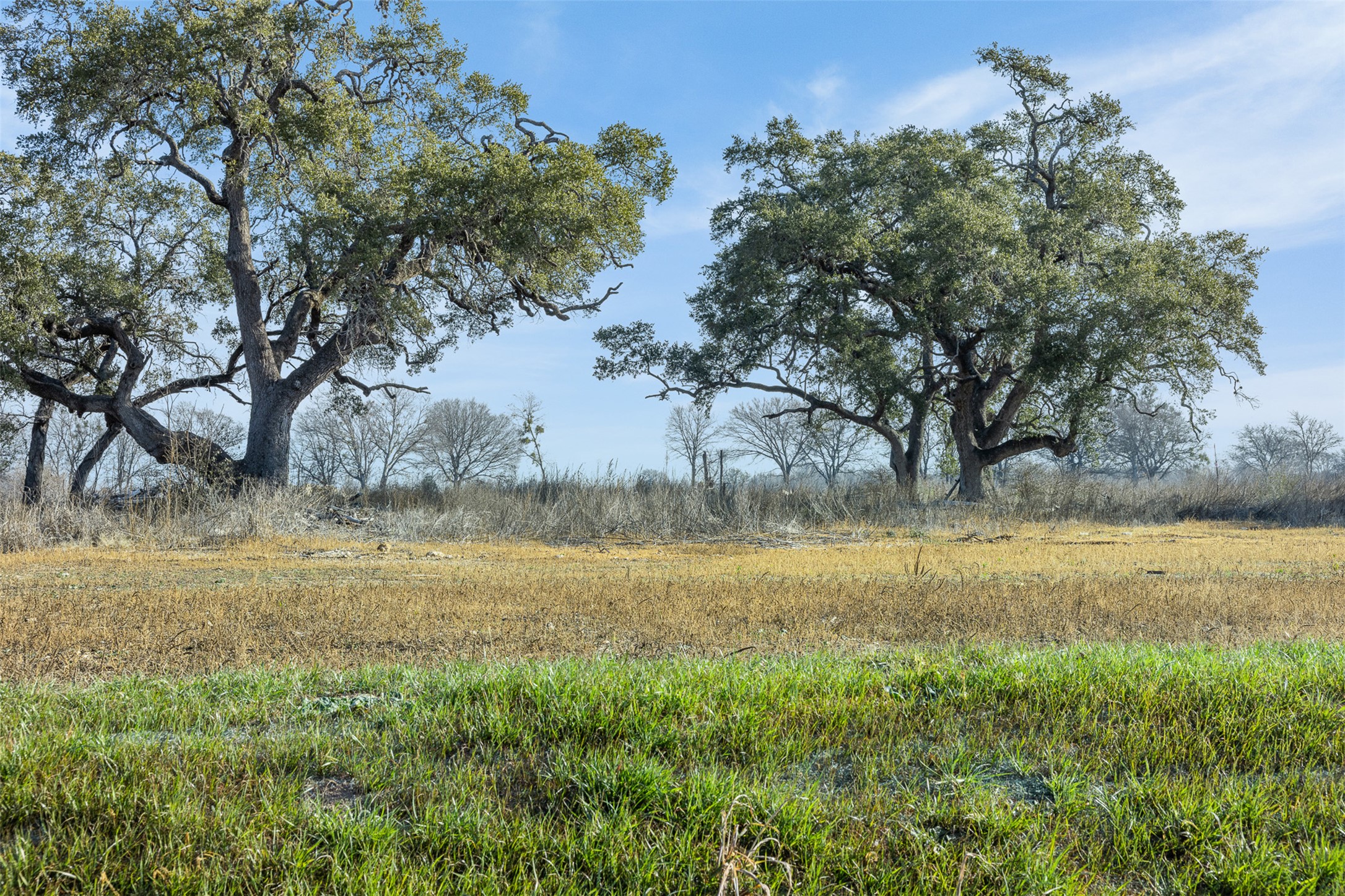 598 Northwest River Road Martindale, TX 78655 - Photo 9 of 11 a view of a lake from a yard