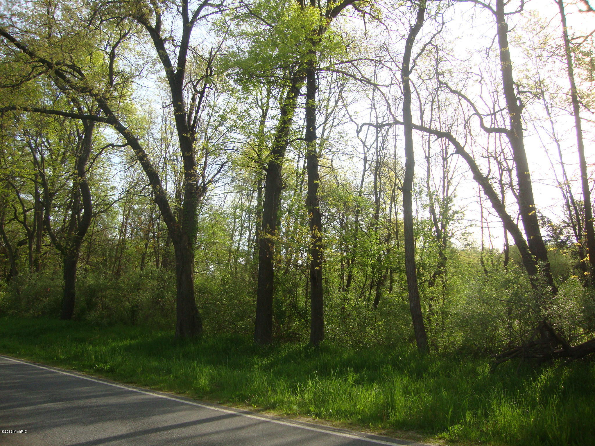 84 North Briggs Road Middleville, MI 49333 - Photo 1 of 4 DSC05208