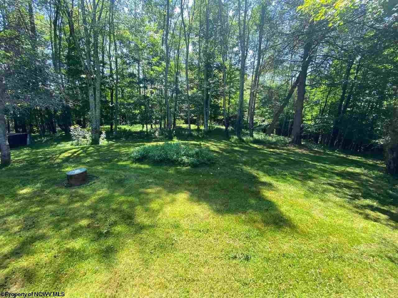 549 Co Rte 45/2 Red Creek, WV 26289 - Photo 18 of 21 Gallery Image 18