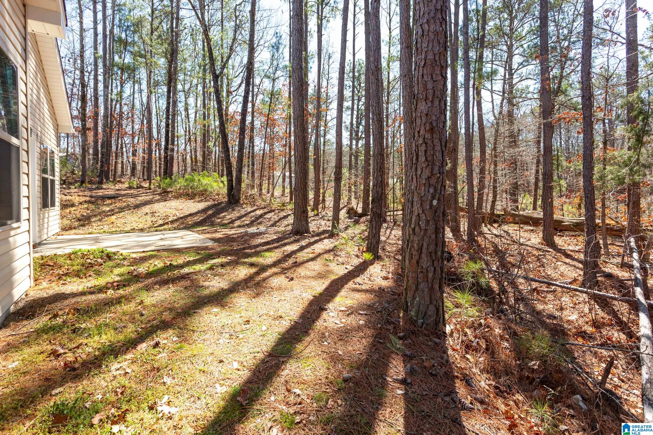 726 Twin Ridge Circle Lincoln, AL 35096 - Photo 30 of 31