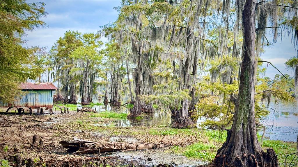 15585 Rudd Road Ida, LA 71044 - Photo 27 of 27 Additional content