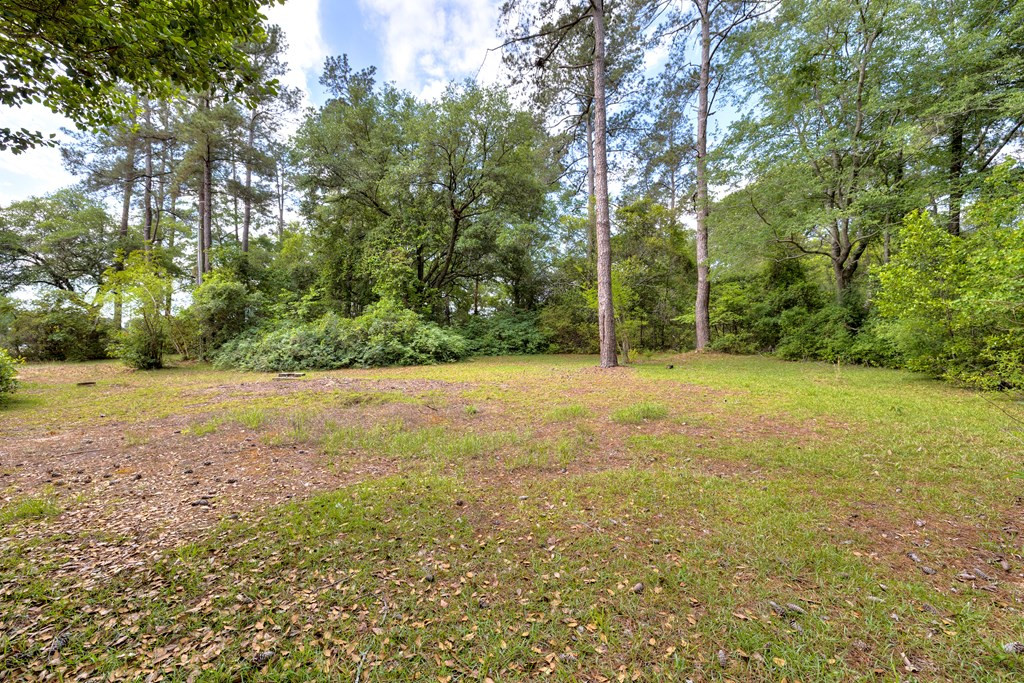 1640 Stamey Livestock Road Sumter, SC 29150 - Photo 10 of 32 Gallery Image 10