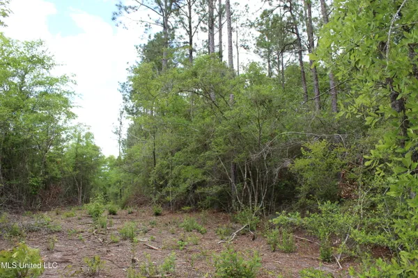 $329,000 | 87.6 Acres Rousanville Road, Leakesville, MS 39451