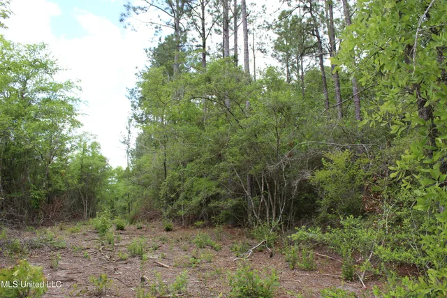 $329,000 | 87.6 Acres Rousanville Road, Leakesville, MS 39451