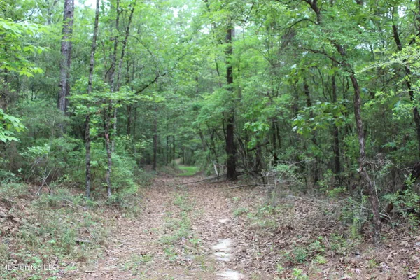 $329,000 | 87.6 Acres Rousanville Road, Leakesville, MS 39451