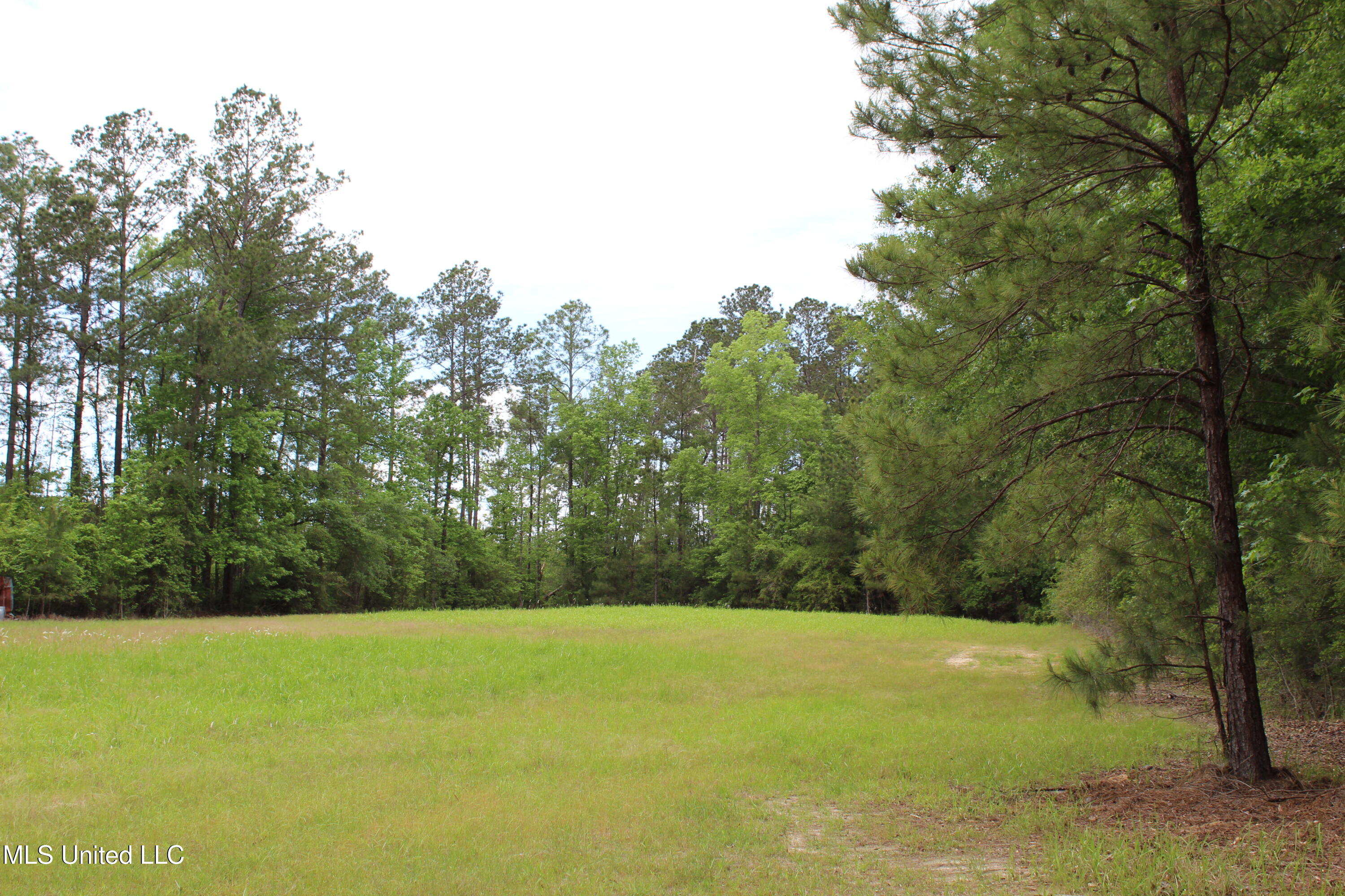 87.6 Acres Rousanville Road Leakesville, MS 39451 - Photo 13 of 26 IMG_4024