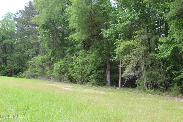 $329,000 | 87.6 Acres Rousanville Road, Leakesville, MS 39451
