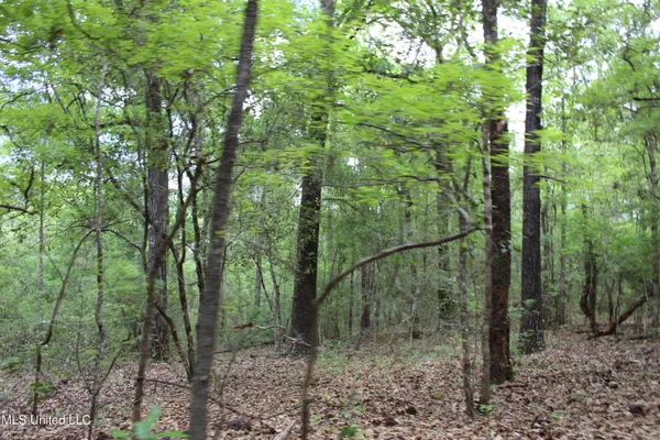 $329,000 | 87.6 Acres Rousanville Road, Leakesville, MS 39451