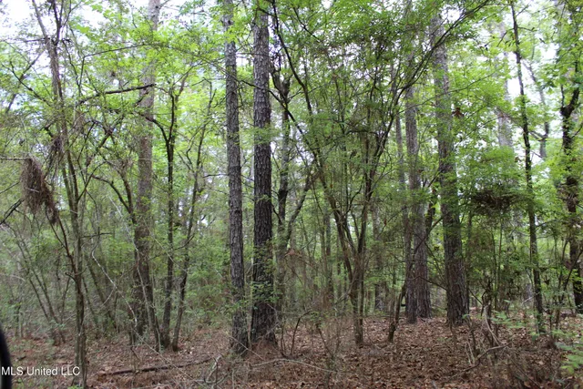 $329,000 | 87.6 Acres Rousanville Road, Leakesville, MS 39451