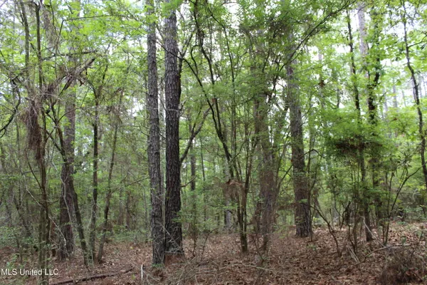 $329,000 | 87.6 Acres Rousanville Road, Leakesville, MS 39451