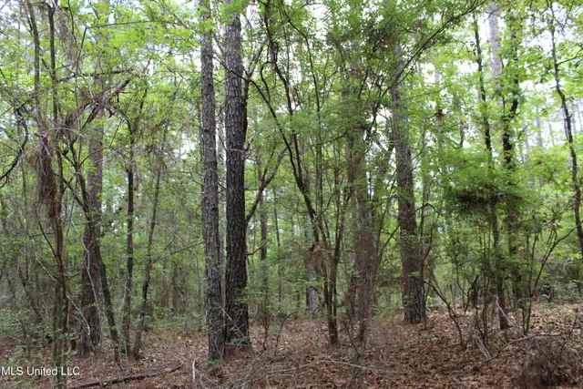 $329,000 | 87.6 Acres Rousanville Road, Leakesville, MS 39451