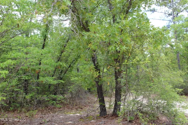 $329,000 | 87.6 Acres Rousanville Road, Leakesville, MS 39451