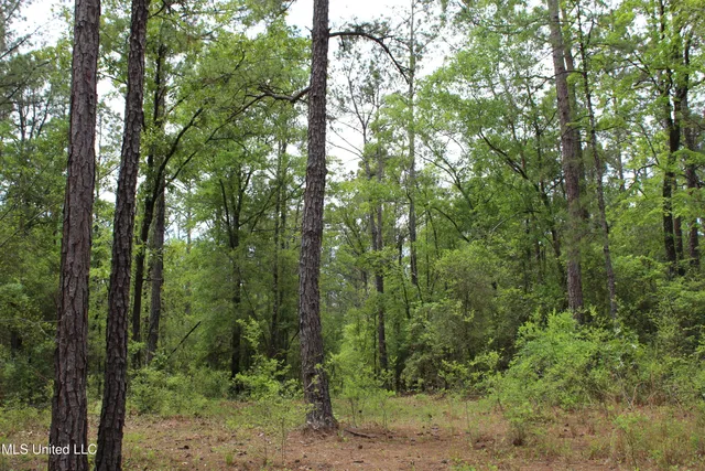$329,000 | 87.6 Acres Rousanville Road, Leakesville, MS 39451