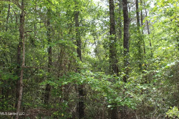 $329,000 | 87.6 Acres Rousanville Road, Leakesville, MS 39451
