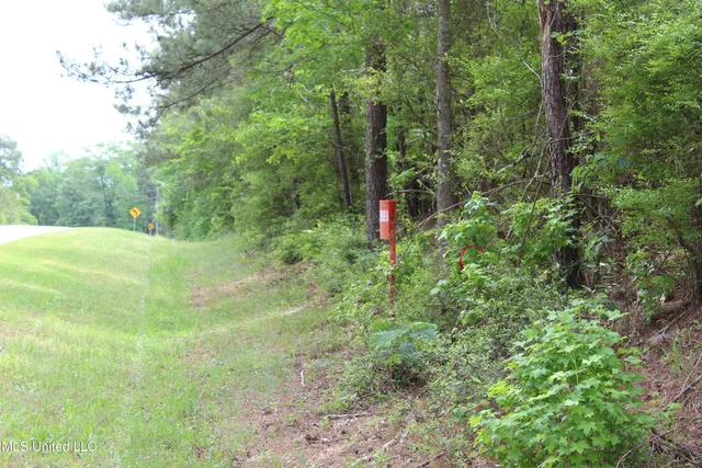 $329,000 | 87.6 Acres Rousanville Road, Leakesville, MS 39451