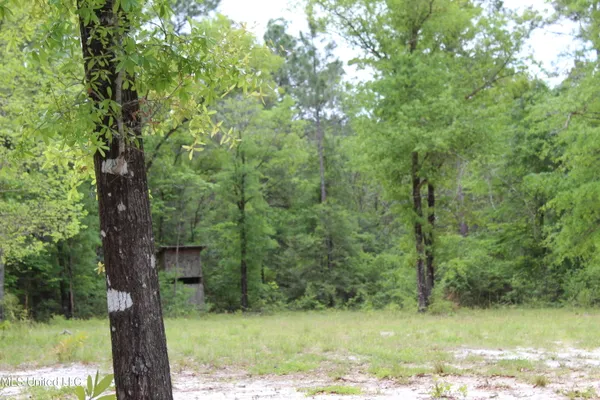 $329,000 | 87.6 Acres Rousanville Road, Leakesville, MS 39451