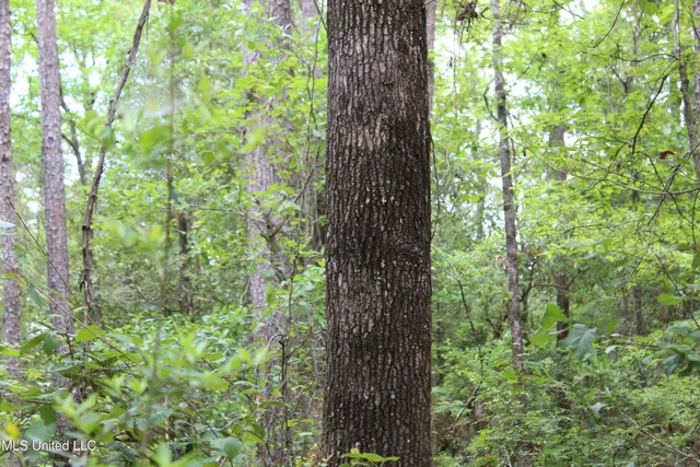 $329,000 | 87.6 Acres Rousanville Road, Leakesville, MS 39451