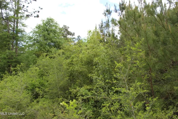 $329,000 | 87.6 Acres Rousanville Road, Leakesville, MS 39451