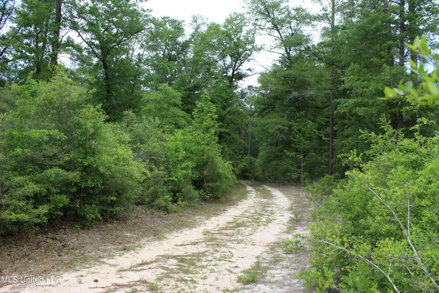 $329,000 | 87.6 Acres Rousanville Road, Leakesville, MS 39451