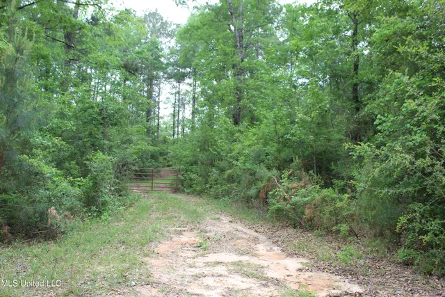 $329,000 | 87.6 Acres Rousanville Road, Leakesville, MS 39451