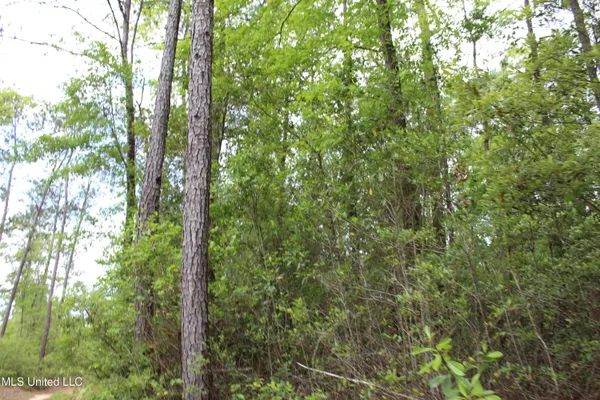 $329,000 | 87.6 Acres Rousanville Road, Leakesville, MS 39451