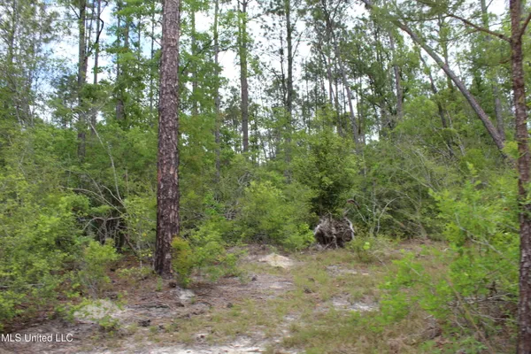 $329,000 | 87.6 Acres Rousanville Road, Leakesville, MS 39451