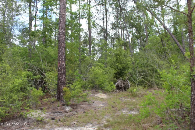 $329,000 | 87.6 Acres Rousanville Road, Leakesville, MS 39451