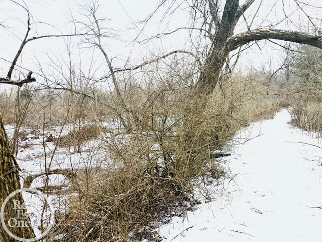 Vl Sunnyside Road Smiths Creek, MI 48074 - Photo 4 of 5