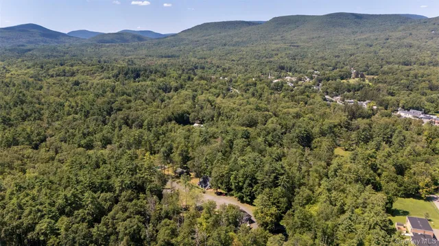 a view of a forest with mountains in the background