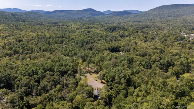 a view of a forest with a street