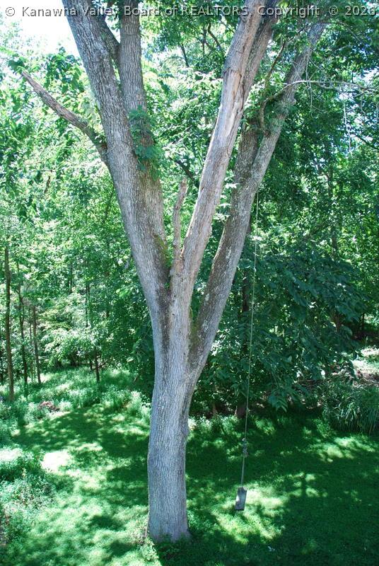 123 Summit Ridge Road Hurricane, WV 25526 - Photo 24 of 28 Gallery Image 24