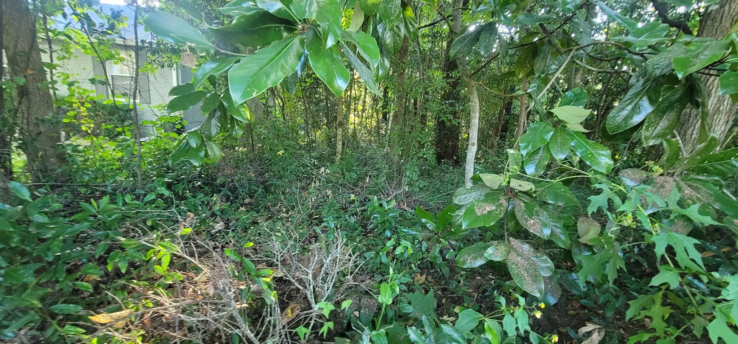 427 Stone House Road Tallahassee, FL 32301 - Photo 2 of 7