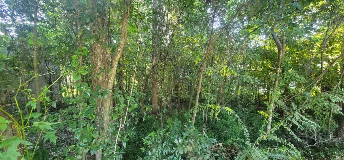 427 Stone House Road Tallahassee, FL 32301 - Photo 3 of 7