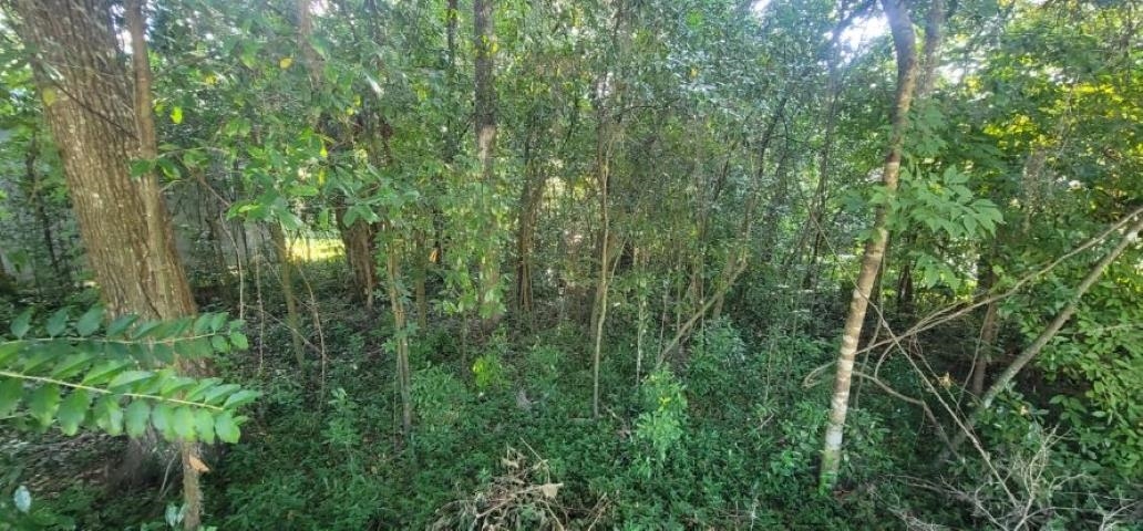 427 Stone House Road Tallahassee, FL 32301 - Photo 4 of 7