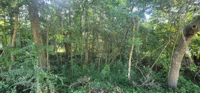 $85,000 | 427 Stone House Road, Tallahassee, FL 32301