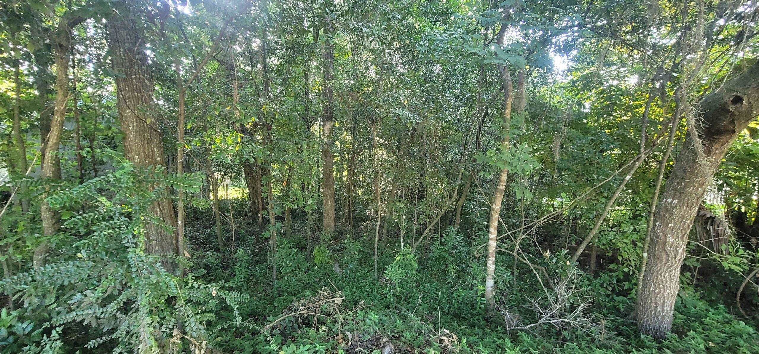 427 Stone House Road Tallahassee, FL 32301 - Photo 5 of 7