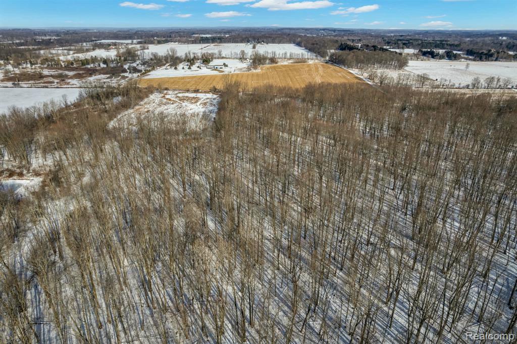 3766 Payne Road Attica, MI 48412 - Photo 7 of 10