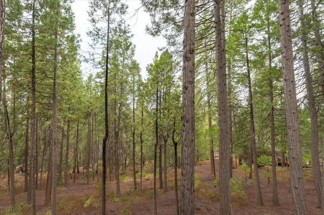 $509,900 | 723 Larkspur Lane, Murphys, CA 95247