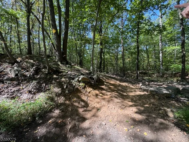 a view of outdoor space and trees